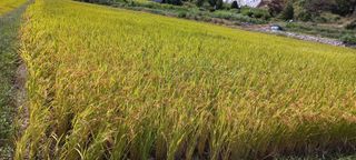 이경빈님의 [팜춘문예] 짧은 시 쓰기 · 참여글 작성글 사진