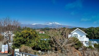 안영관님의 [팜춘문예] 짧은 시 쓰기 · 참여글 작성글 사진