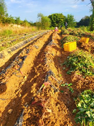 김서린님의 [팜춘문예] 짧은 시 쓰기 · 참여글 작성글 사진