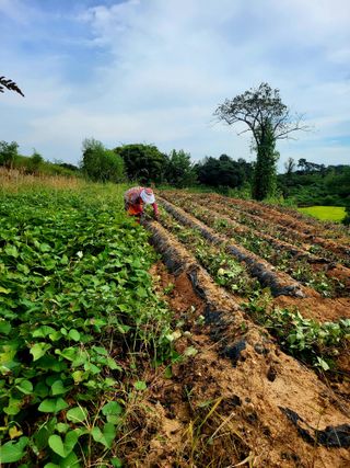 김서린님의 [팜춘문예] 짧은 시 쓰기 · 참여글 작성글 사진