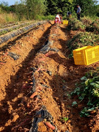 김서린님의 [팜춘문예] 짧은 시 쓰기 · 참여글 작성글 사진