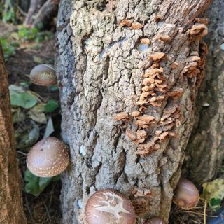 황지유님의 [팜춘문예] 짧은 시 쓰기 · 참여글 작성글 사진