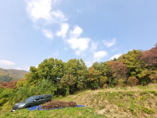 손병만님의 들깨 · 자유게시판 작성글 사진