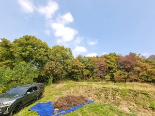 손병만님의 들깨 · 자유게시판 작성글 사진