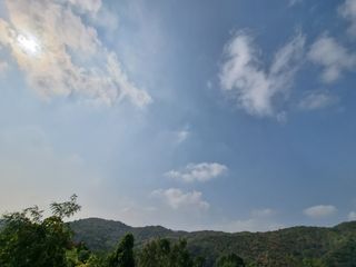 손병만님의 들깨 · 자유게시판 작성글 사진