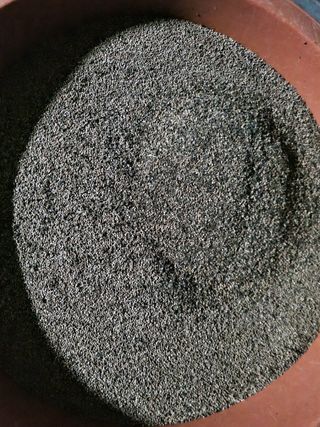 손병만님의 들깨 · 자유게시판 작성글 사진