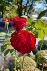 팜모닝 자유주제·자유게시판 게시글 이미지