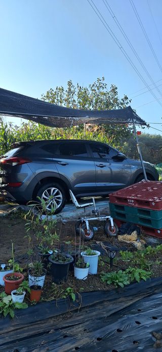 도시농부님의 자유주제 · 자유게시판 작성글 사진