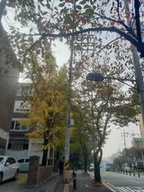 팜모닝 벼·영농일지 게시글 이미지