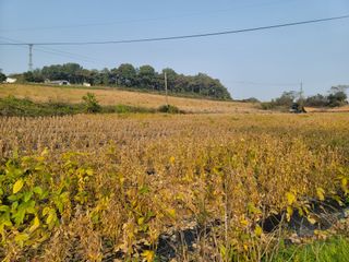 장재농원 최재석님의 벼 · 영농일지 작성글 사진