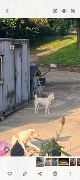 팜모닝 양배추·영농일지 게시글 이미지