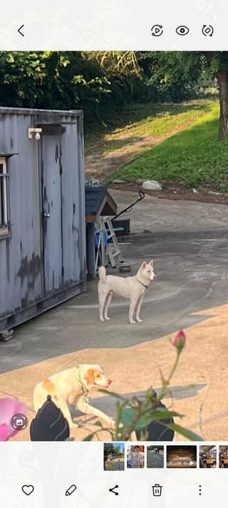 원삼농산물님의 양배추 · 영농일지 작성글 사진