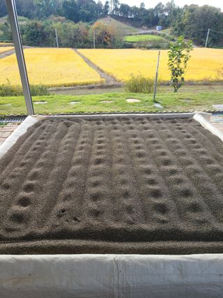 건무님의 [팜춘문예] 짧은 시 쓰기 · 참여글 작성글 사진