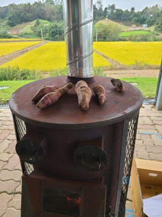 건무님의 [팜춘문예] 짧은 시 쓰기 · 참여글 작성글 사진