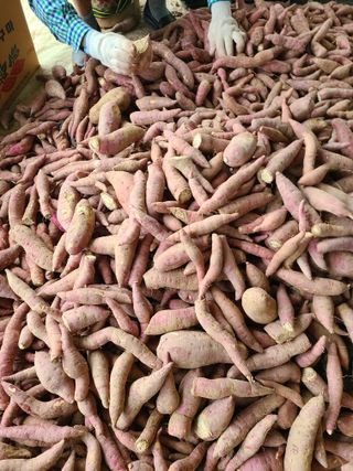 건무님의 [팜춘문예] 짧은 시 쓰기 · 참여글 작성글 사진