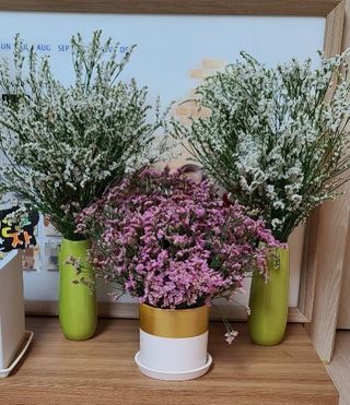 사랑꽃농장님의 [팜춘문예] 짧은 시 쓰기 · 참여글 작성글 사진