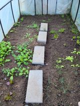 팜모닝 양배추·영농일지 게시글 이미지