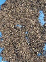 팜모닝 기타작물·영농일지 게시글 이미지