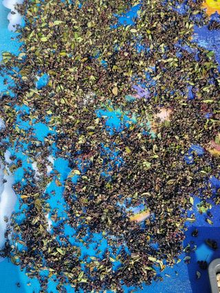 서성환님의 기타작물 · 영농일지 작성글 사진