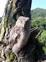 팜모닝 · 게시글 이미지