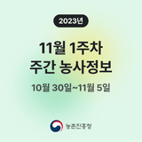 팜모닝 팜모닝공식·혜택 게시글 이미지