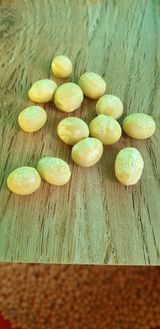 팜모닝 콩·병해충상담 게시글 이미지