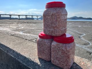 목포 물좋은수산님의 작성글 사진