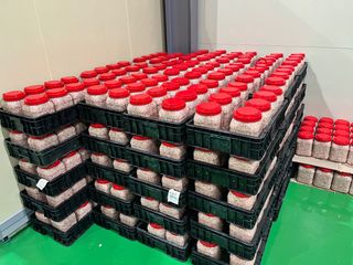 목포 물좋은수산님의 작성글 사진