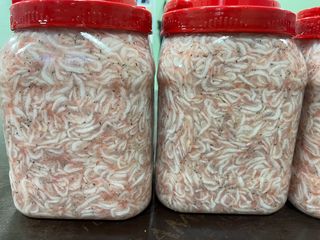 목포 물좋은수산님의 작성글 사진