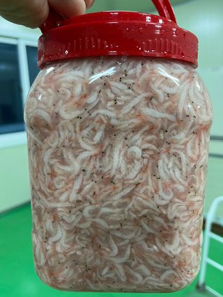 목포 물좋은수산님의 작성글 사진