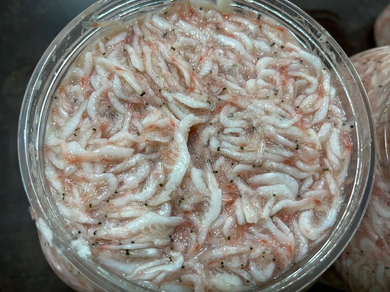 목포 물좋은수산님의 장터 판매 상품 [최상급 숙성 추젓] 첨부 사진