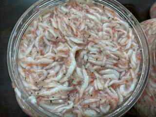 목포 물좋은수산님의 작성글 사진