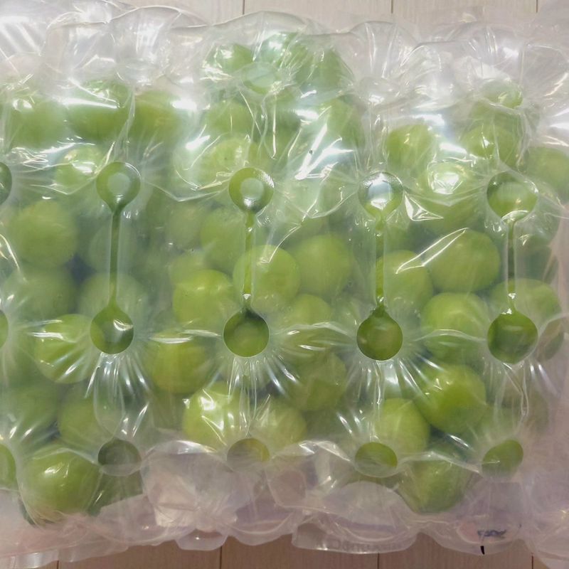 벌꿀농장♡권은주님의 장터 판매 상품 [햇샤인머스켓 2kg*3수 (1박스)] 첨부 사진