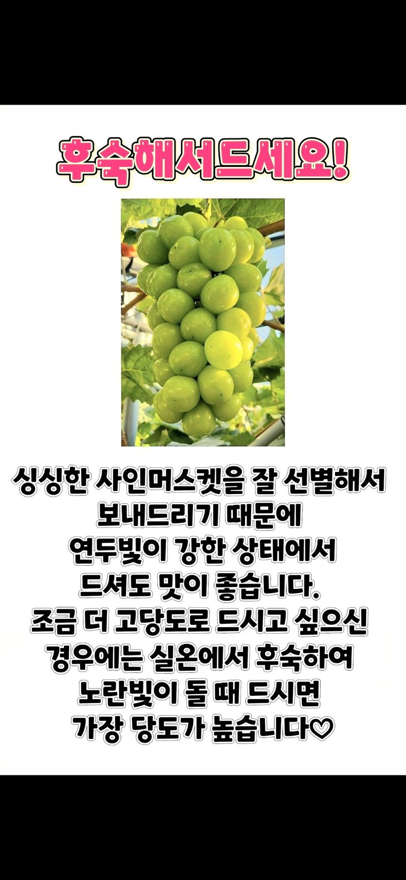 벌꿀*직접생산농장님의 장터 판매 상품 [햇샤인머스켓 2kgㆍ3수 (1박스)] 첨부 사진