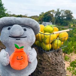 박경민님의 작성글 사진