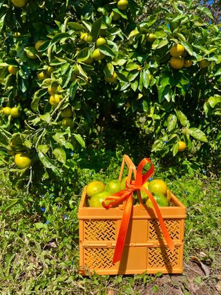 박경민님의 작성글 사진