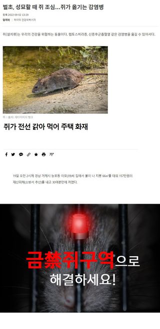 박경민님의 작성글 사진