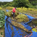 팜모닝 [팜춘문예] 짧은 시 쓰기·참여글 게시글 이미지
