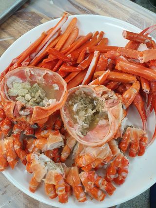 노가네수산님의 장터이야기 · 자유게시판 작성글 사진