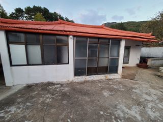 귤22133님의 고추 · 병해충상담 작성글 사진