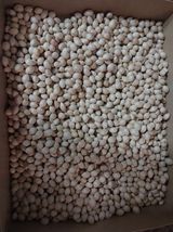 팜모닝 [팜춘문예] 짧은 시 쓰기·참여글 게시글 이미지