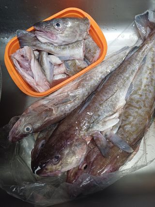 삼성농산님의 자유주제 · 자유게시판 작성글 사진