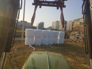 이행옥님의 기타작물 · 영농일지 작성글 사진