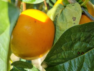 박경민님의 작성글 사진