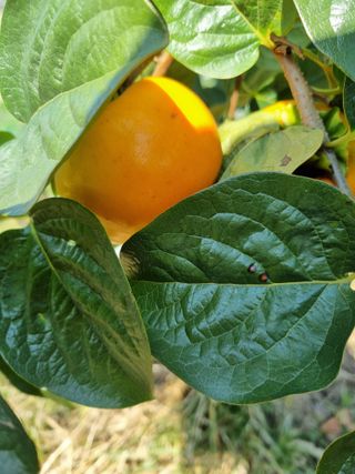 박경민님의 작성글 사진