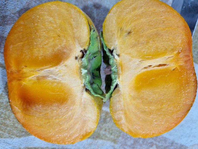 믿고사는농원-송미경님의 장터 판매 상품 [햇 단감 판매 3kg/5kg] 첨부 사진