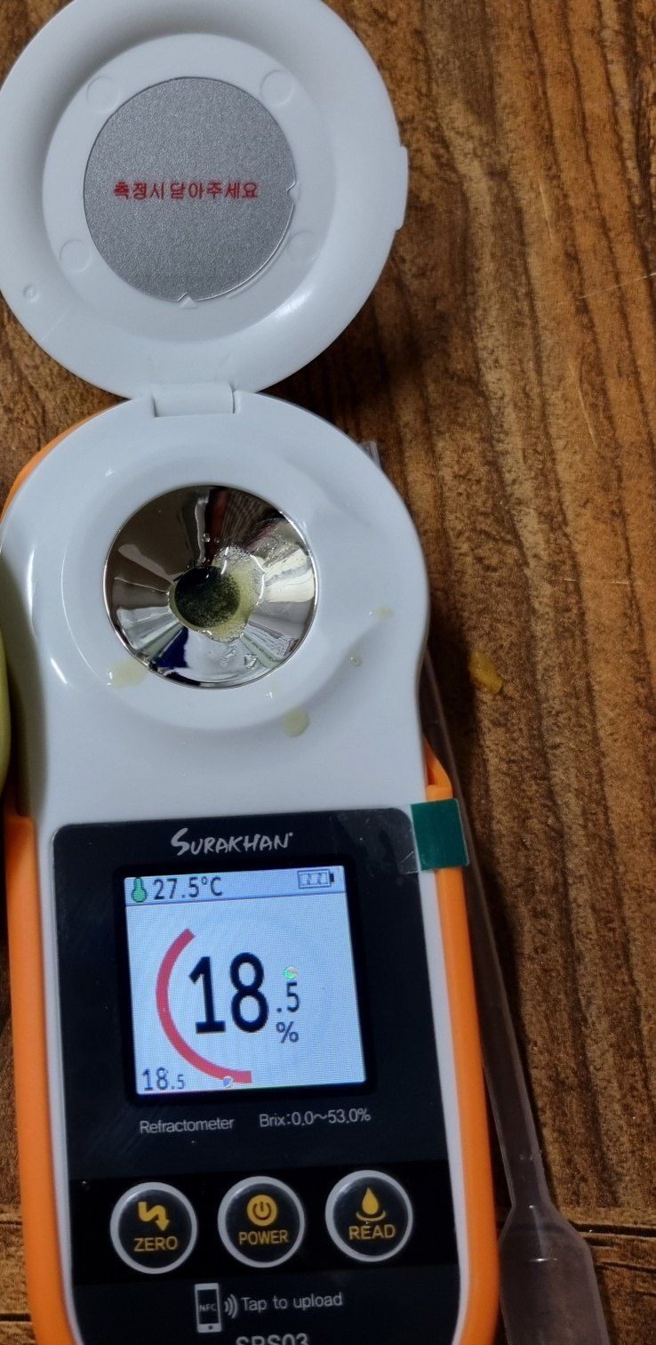 믿고사는농원-송미경님의 장터 판매 상품 [햇 단감 판매 3kg/5kg] 첨부 사진