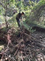 팜모닝 토마토·영농일지 게시글 이미지