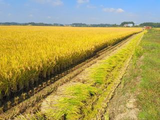 이미옥님의 [팜춘문예] 짧은 시 쓰기 · 참여글 작성글 사진