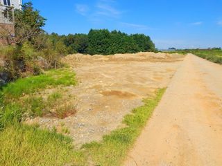 이미옥님의 [팜춘문예] 짧은 시 쓰기 · 참여글 작성글 사진